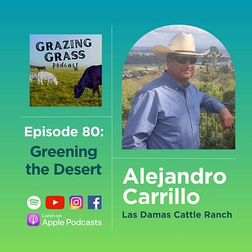 e80. Greening the Desert with Alejandro Carrillo