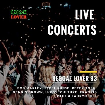 93 - Reggae Lover - Live Reggae Concert Mix