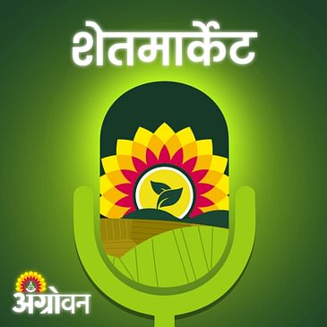Cotton, Soybean Market: कापूस बाजारभाव, सोयाबीन भाव, कांदा बाजार, तूर दर | Agrowon