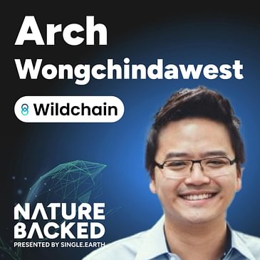 Gamifying Nature Protection With Arch from Wildchain