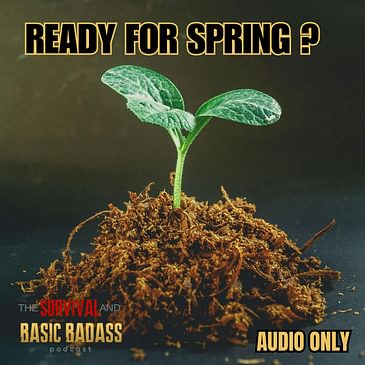 Starting Seeds for Homesteading: Everything You Need to Know