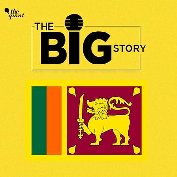 Debts, Covid & Bad Policies: A Breakdown of What Led to Sri Lanka's Economic Crisis