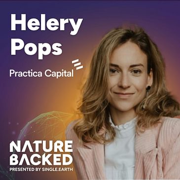 Looking Into Promising Year With Practica's Helery Pops
