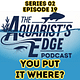You Put It Where? How to Choose the Best Spot for Your Fish Tank