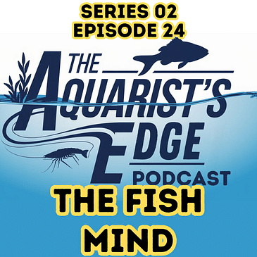 Inside The Fish Mind - Understanding Fish Behaviour