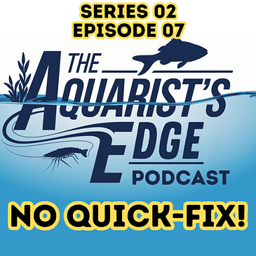 No Quick Fix - Developing A Problem-Solving Mindset In The Aquarium Hobby