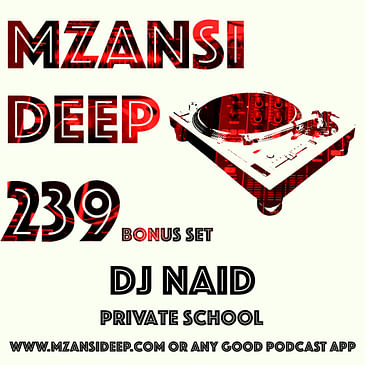 Session 239 - BONUS HOUR - DJ Naid - PRIVATE SCHOOL