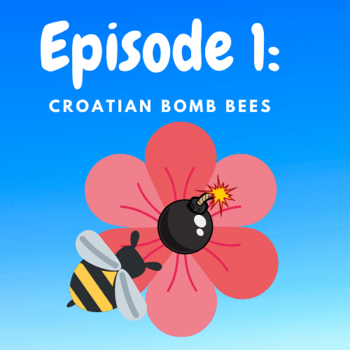 A bee crawling on a pink flower, but instead of walking towards pollen, it has found a cartoon bomb with a lit fuse in the center of the flower