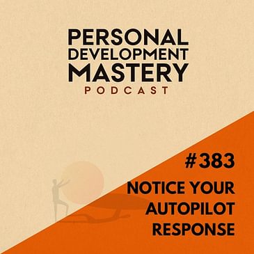 #383 Snippets of wisdom: Notice your auto-pilot response.