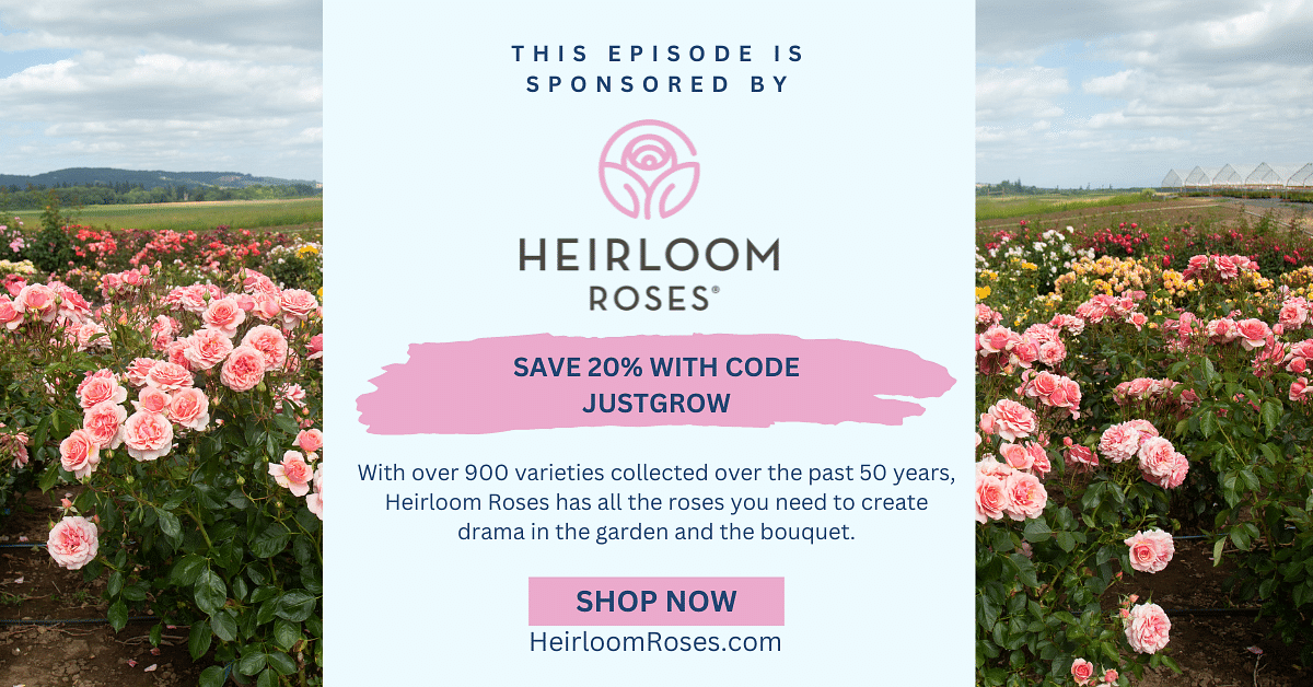 Visit our sponsor, Heirloom Roses