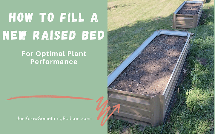 How to Fill New Raised Beds