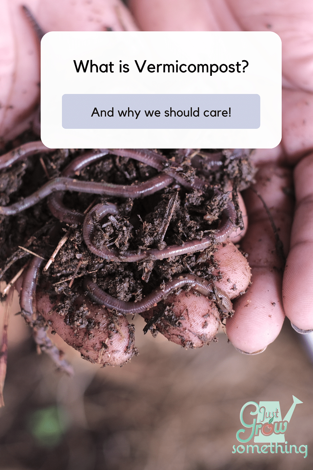 What is Vermicompost and Why We Should Care