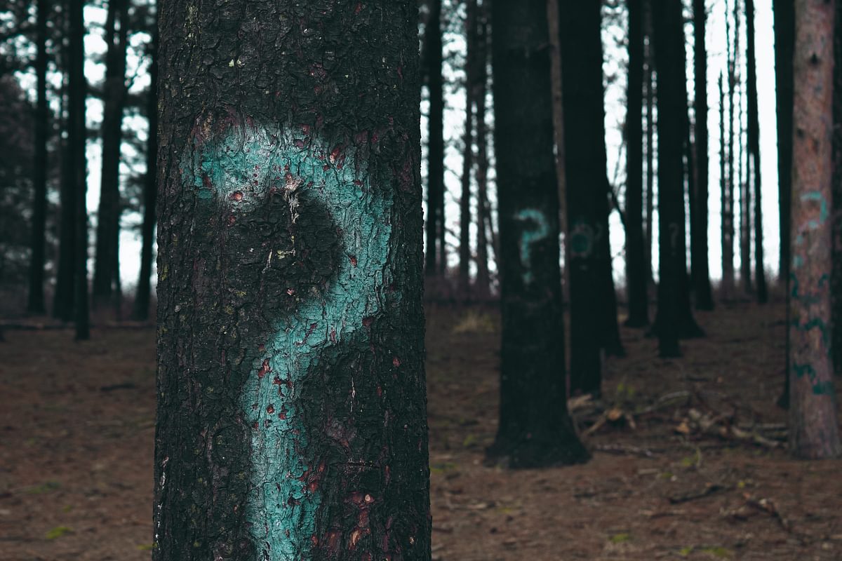 Motives in Questioning