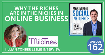 Why the Riches are in the Niches in Online Business [Jillian Tohber Leslie Interview]