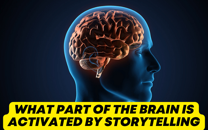 What part of the brain is activated by storytelling