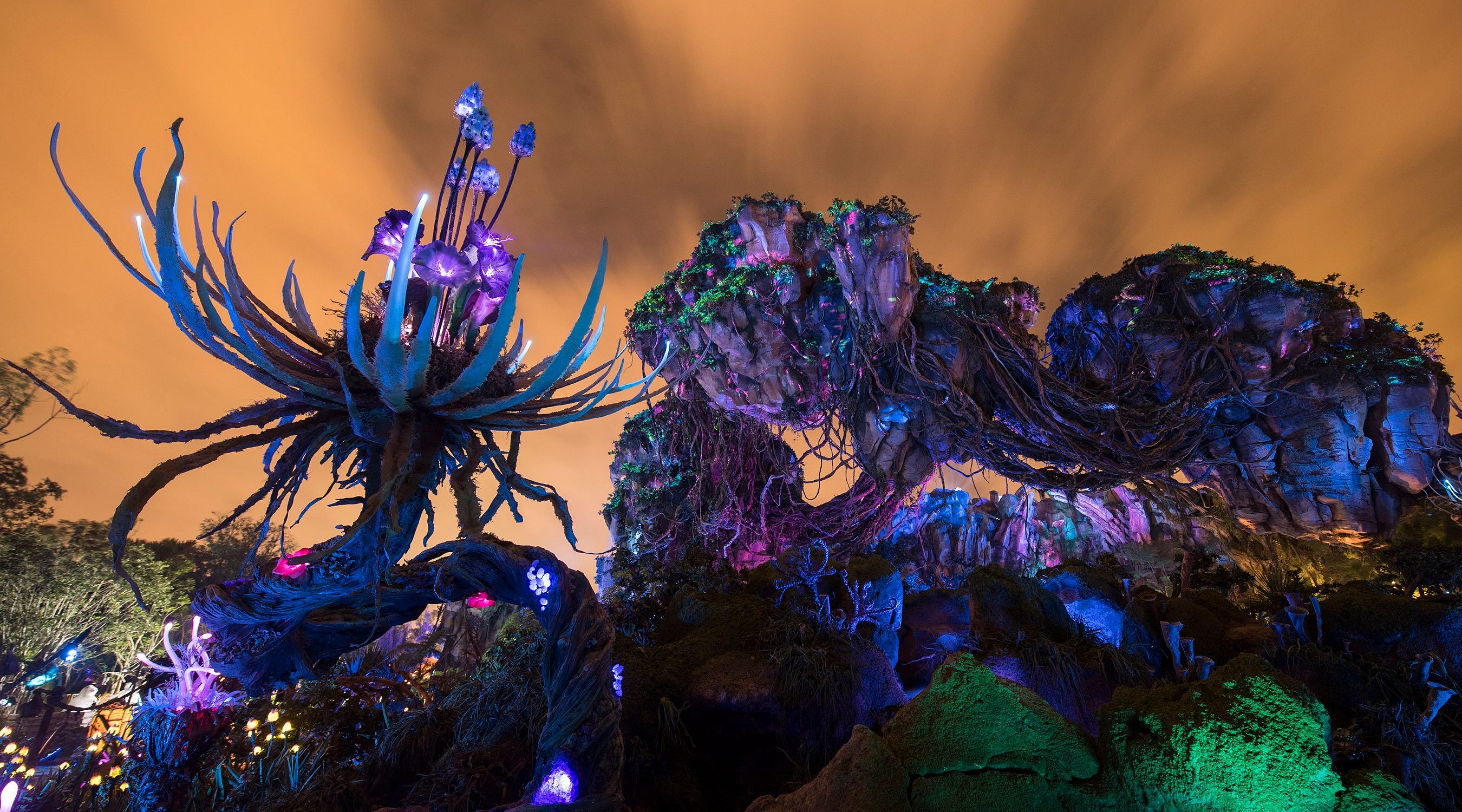 plant-life from Pandora The World Of Avatar in Walt Disney World