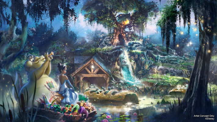TSR | The Case of the Splash Mountains: Critter Country v. Frontierland
