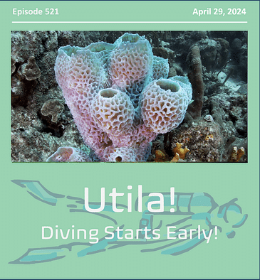Utila, Honduras and the Rush into March and the dive season