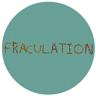 Fraculation Studios
