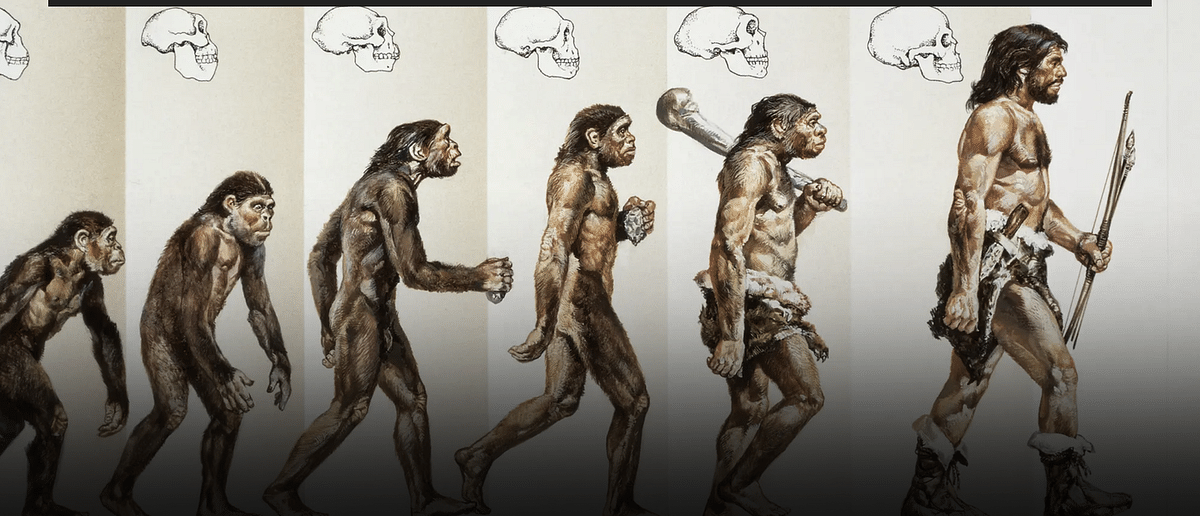 THE REAL REASON THE MARKET IS GOING UP AND WHY YOU SHOULD BE CONFIDENT IN THE FACE OF FEAR