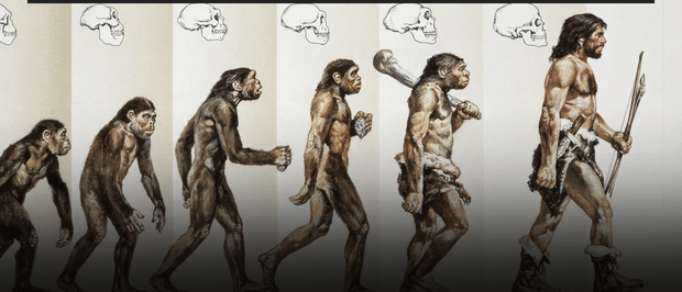 THE REAL REASON THE MARKET IS GOING UP AND WHY YOU SHOULD BE CONFIDENT IN THE FACE OF FEAR