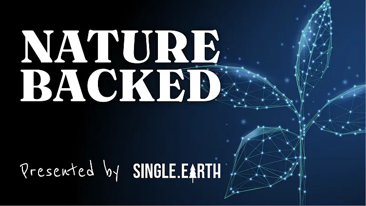 NB12: Growth Hacking and Green Investments of Oil Giant
