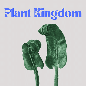 Plant Kingdom