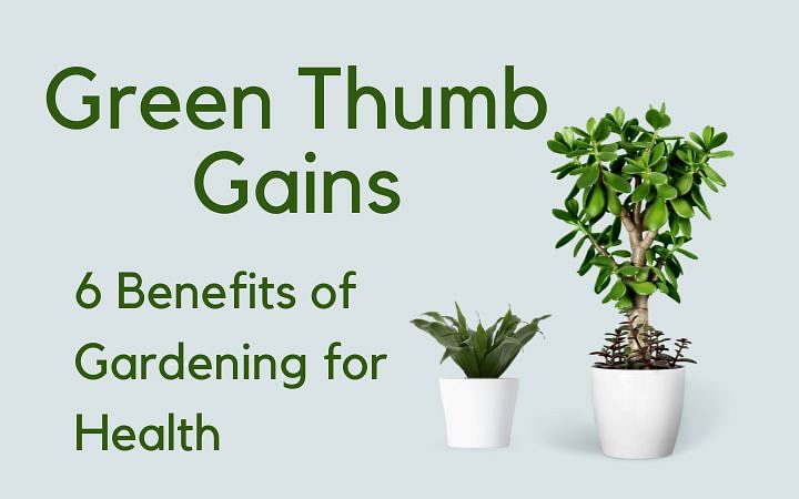 Green Thumb Gains: 6 Benefits of Gardening for Health