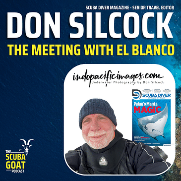 Don Silcock - Senior Travel Editor meets El Blanco the Southern Right Whale