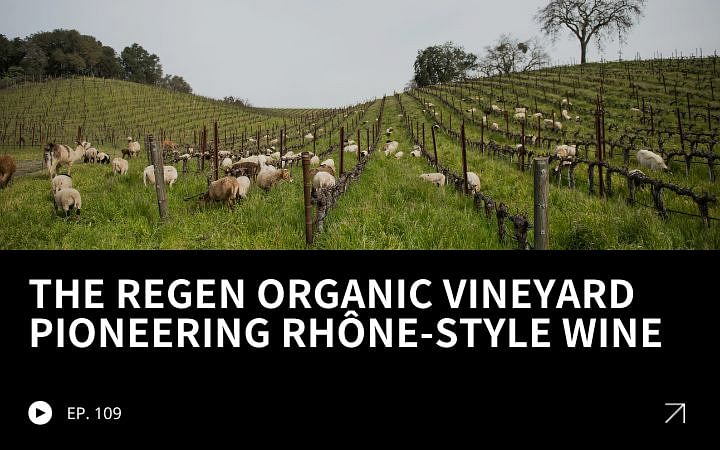 ReGen Brands Recap #109