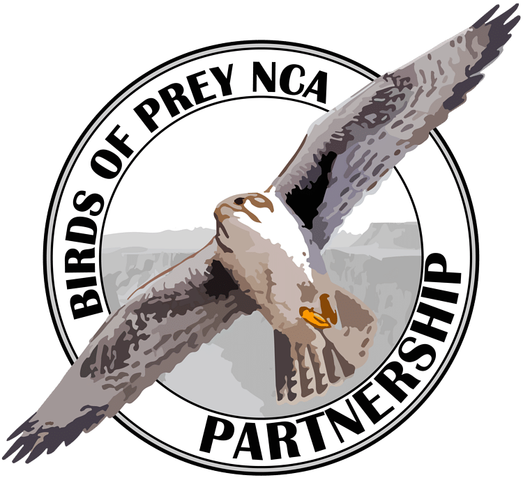 birds of prey partnership logo