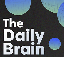 The Daily Brain