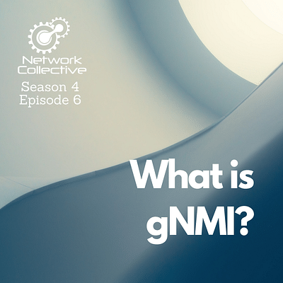 What is gNMI?