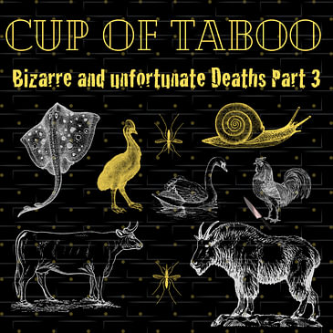 #24, Ten Bizarre and Unfortunate deaths, Animal Edition!