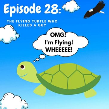 Ep 28: The Flying Turtle Who Killed A Guy