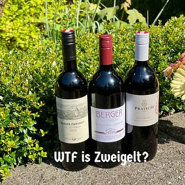 WTF is Zweigelt? (The Ultimate Picnic Wine, Summer Sipper, For Gamay and Pinot Noir Lovers, Great red wine for Cookouts and BBQs, Red Wine for Fish, Austrian Wine)