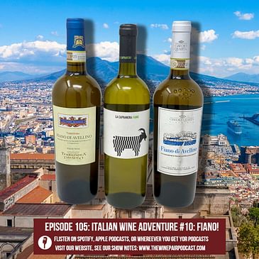 Italian Wine Adventure #10: Fiano! (A nearly extinct ancient grape makes a comeback, bigger bodied white wine, famous foods from the Campania area of Italy, Chardonnay alternative)