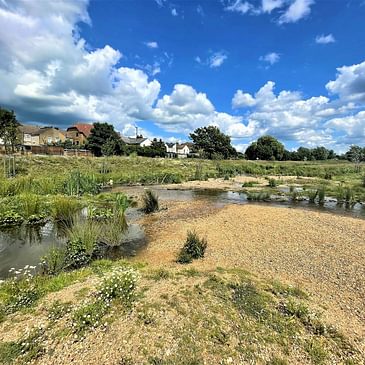 #108: (WILD) Rewilding for Urban Flood Resilience