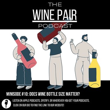 Minisode #10: Does Wine Bottle Size Matter? (What are those big-@$% bottles of wine called? And why are they so expensive?)