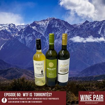 WTF is Torrontés? (Argentinian wine, high-altitude wines, wines for white wine lovers - and maybe red wine lovers, too!)