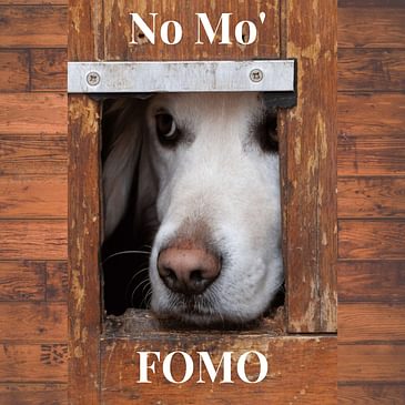 Episode 16: No Mo' FOMO