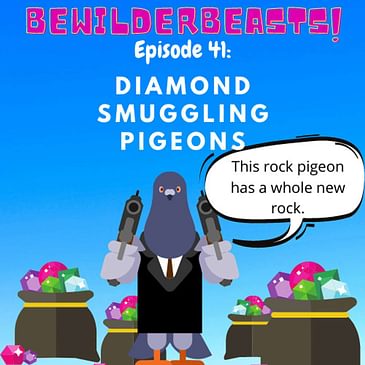 Ep 41: Diamond Smuggling Pigeons