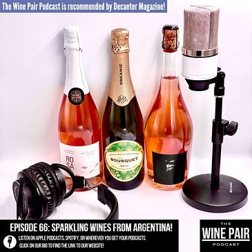 Sparkling Wines from Argentina! (Affordable high quality sparkling wines, under the radar sparkling wines, Sparkling Rosé from Malbec, crowd pleasing sparkling wines, sparkling wine for red wine lovers)
