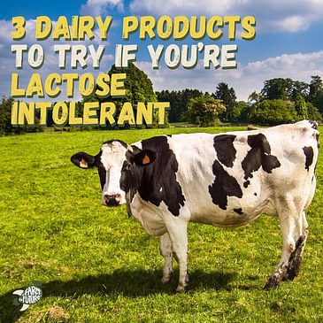 3 dairy products to try if you're lactose intolerant
