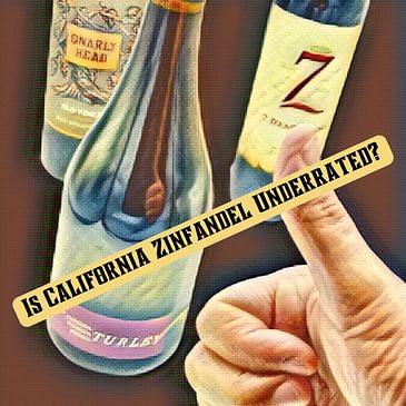 Is California Zinfandel Underrated? (Discover California Zins, Cult wine, Turley, rich, juicy, and velvety red wines, a must-know wine)