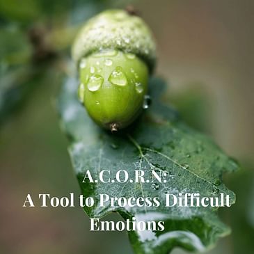 Episode 11: A.C.O.R.N: A tool to Process Difficult Emotions