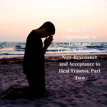 Episode 2 Season 2: Taking Every Opportunity to Grow and Learn: Willingness, Non-Resistance and Acceptance to Heal Trauma Part II