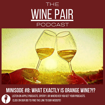 Minisode #8: What Is Orange Wine Exactly?!?