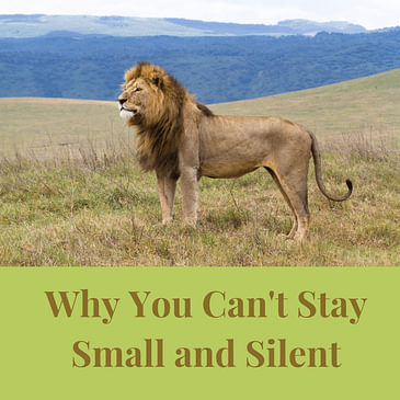 Episode 17: Why You Can't Stay Small and Silent