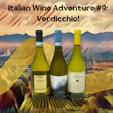 Italian Wine Adventure #9: Verdicchio (A great wine for Chardonnay lovers, the King of White Wines, a fantastic winter white wine)